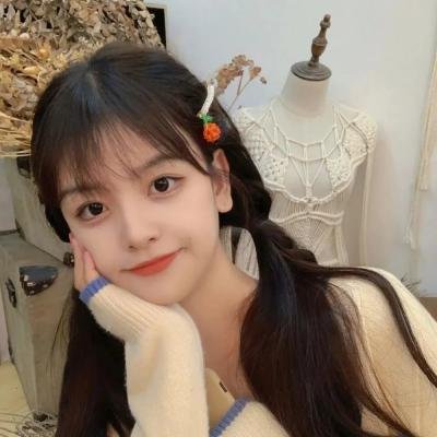 巅峰拍档第十七季